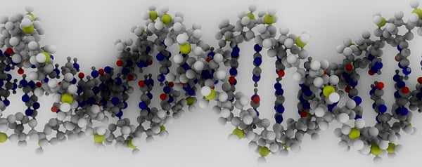 Nanorobots van DNA