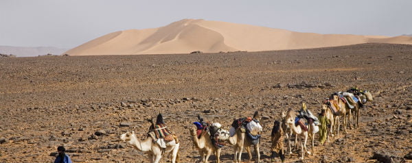 Karavaan in de Sahara