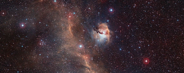 Nevel Seagull Nebula