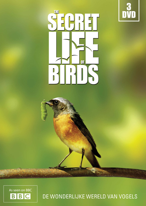 Life of birds dvd