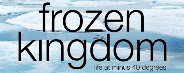 Frozen kingdom - header