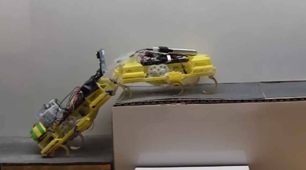 Robotkakkerlak