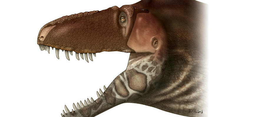 T-rex-voorloper