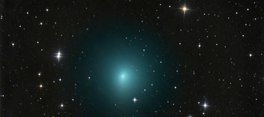 Komeet 41P