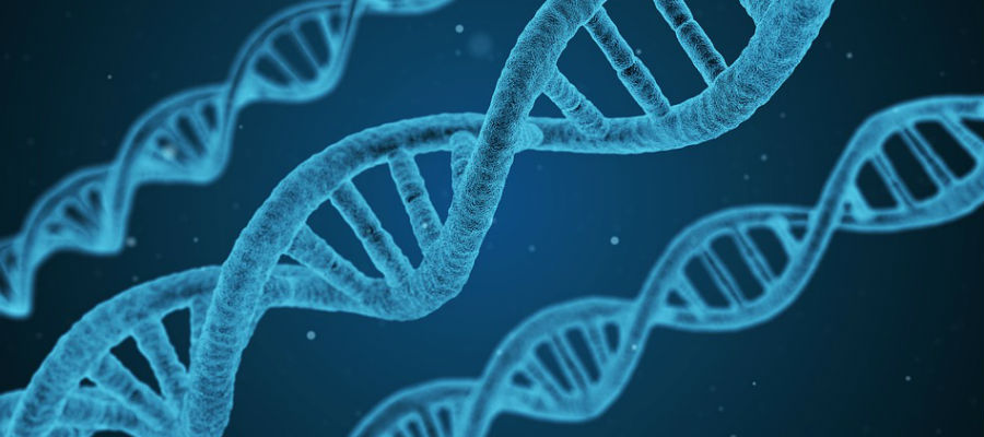 DNA-replicatie