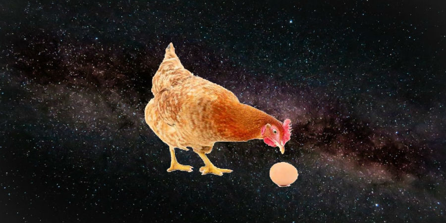 Onrustig Normaal gesproken Melodrama Kunnen kippen eieren leggen in de ruimte? - KIJK Magazine