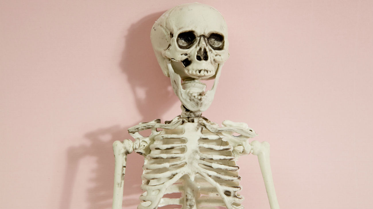 botten skelet