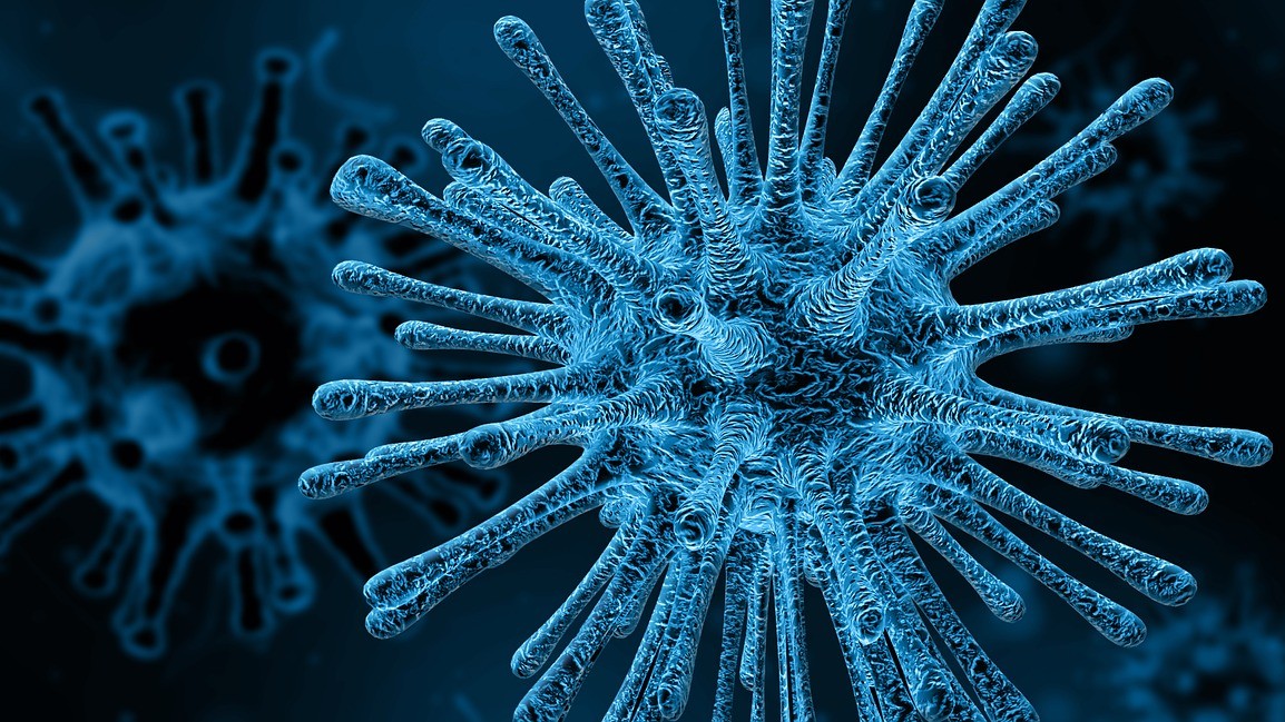 Wat zijn de vijf dodelijkste virussen?
