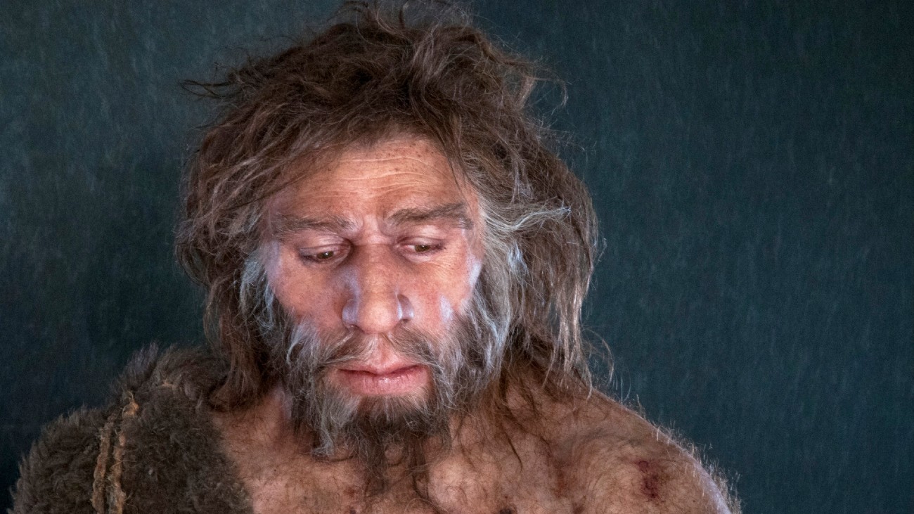 neanderthaler at krab