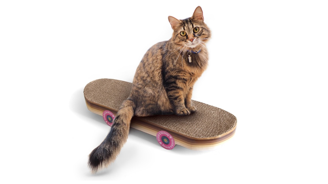 kat-skater muis