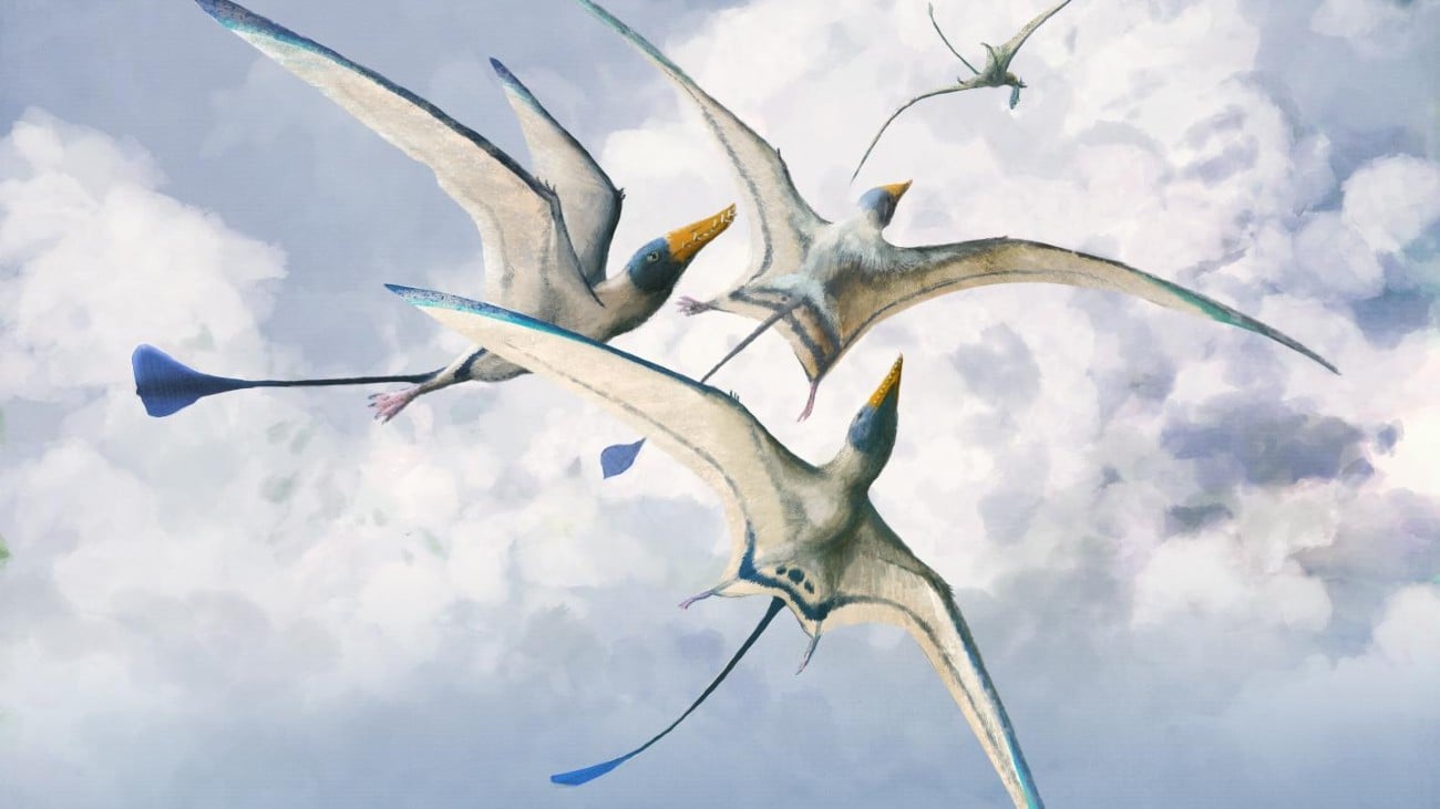 pterosauriërs