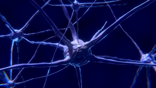 Neurowetenschappers ontdekken verhoogde activiteit in 'zombiegenen' in het menselijk brein na sterfte.