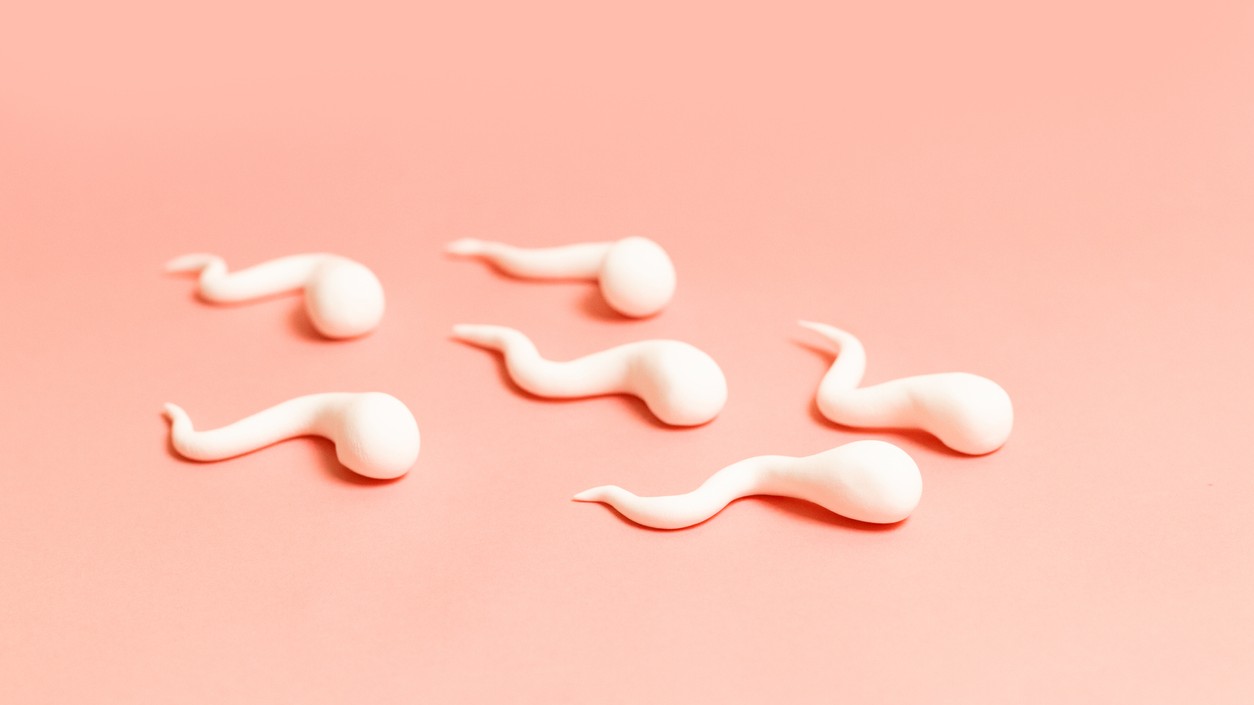 spermacrisis spermacellen
