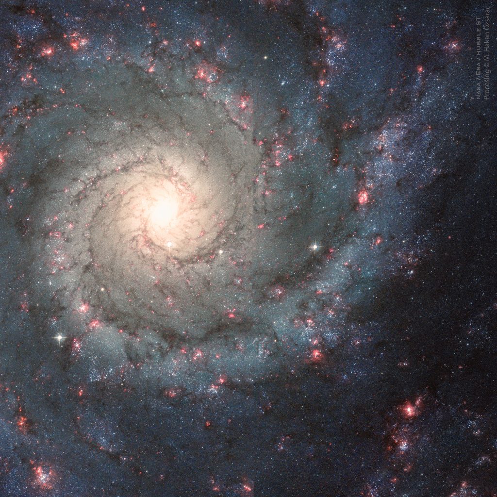 M74