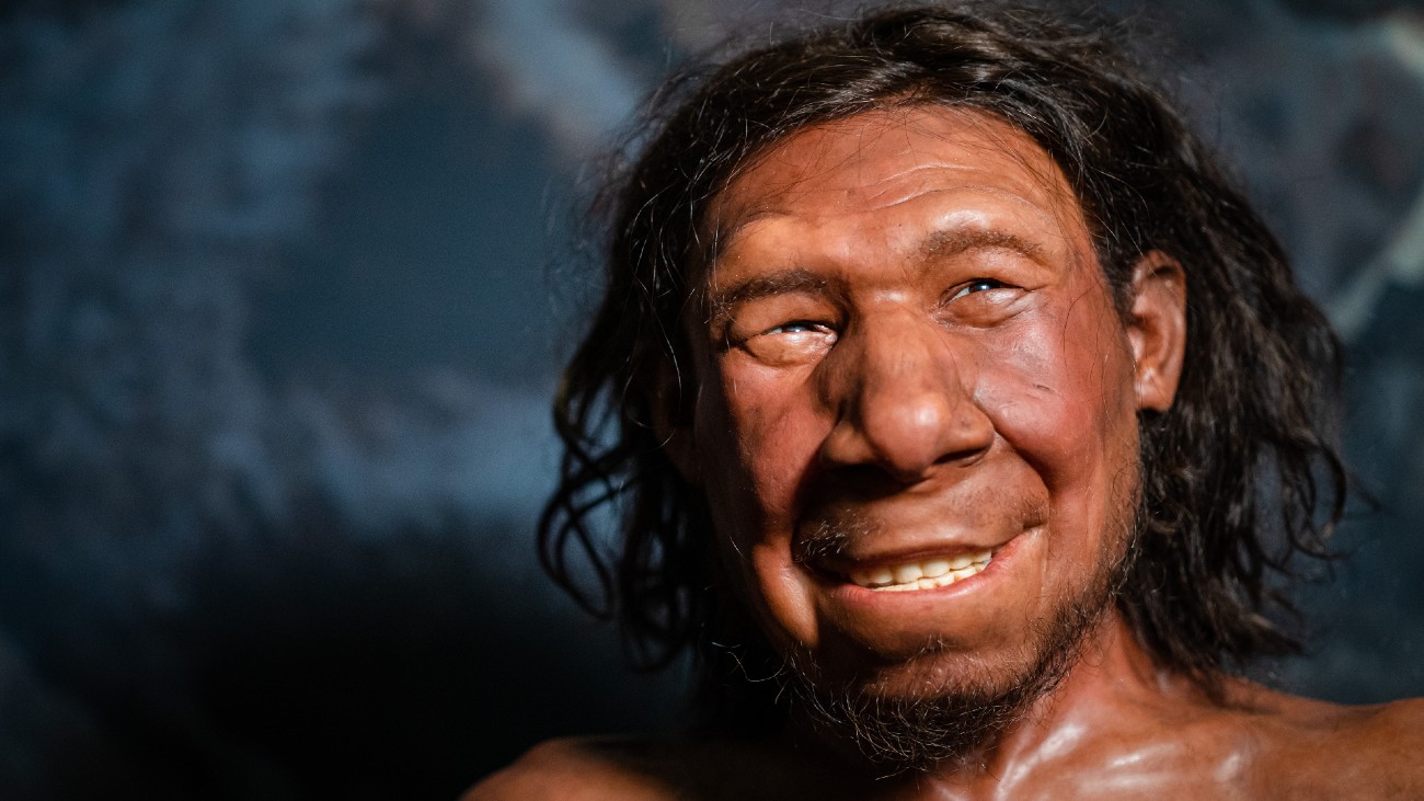 neanderthaler moderne mens