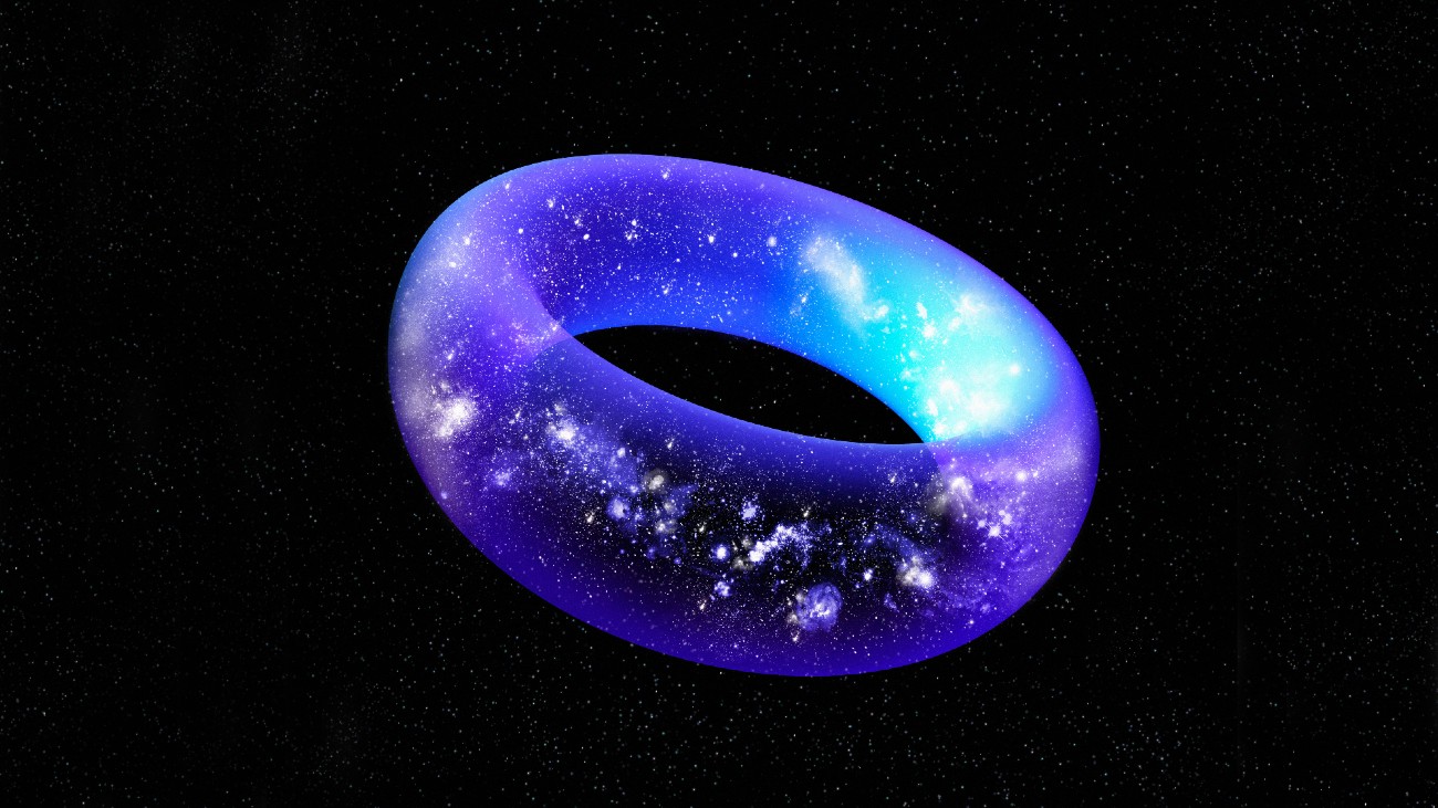 heelal een donut