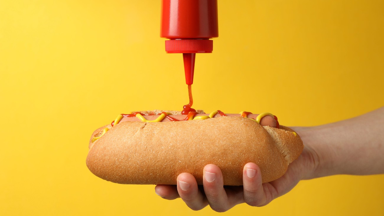 hotdog-robot