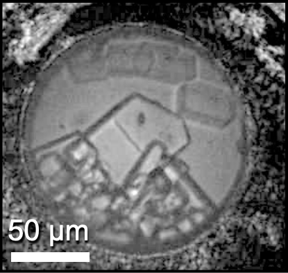 Microscopische foto van een van de ontdekte zoutwaterkristallen.
