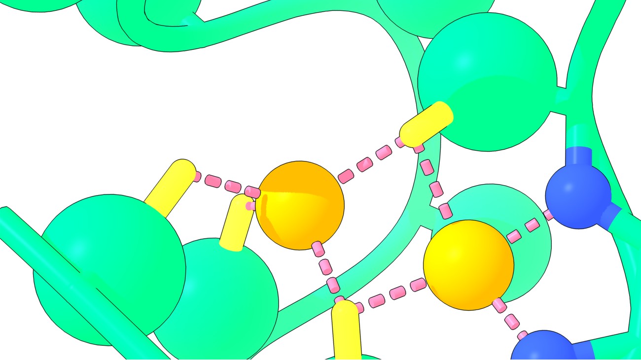 Een digitale versie van het Nickelback-peptide, met de backbone-stikstofatomen (blauw) die binden aan de twee kritische nikkelatomen (oranje).