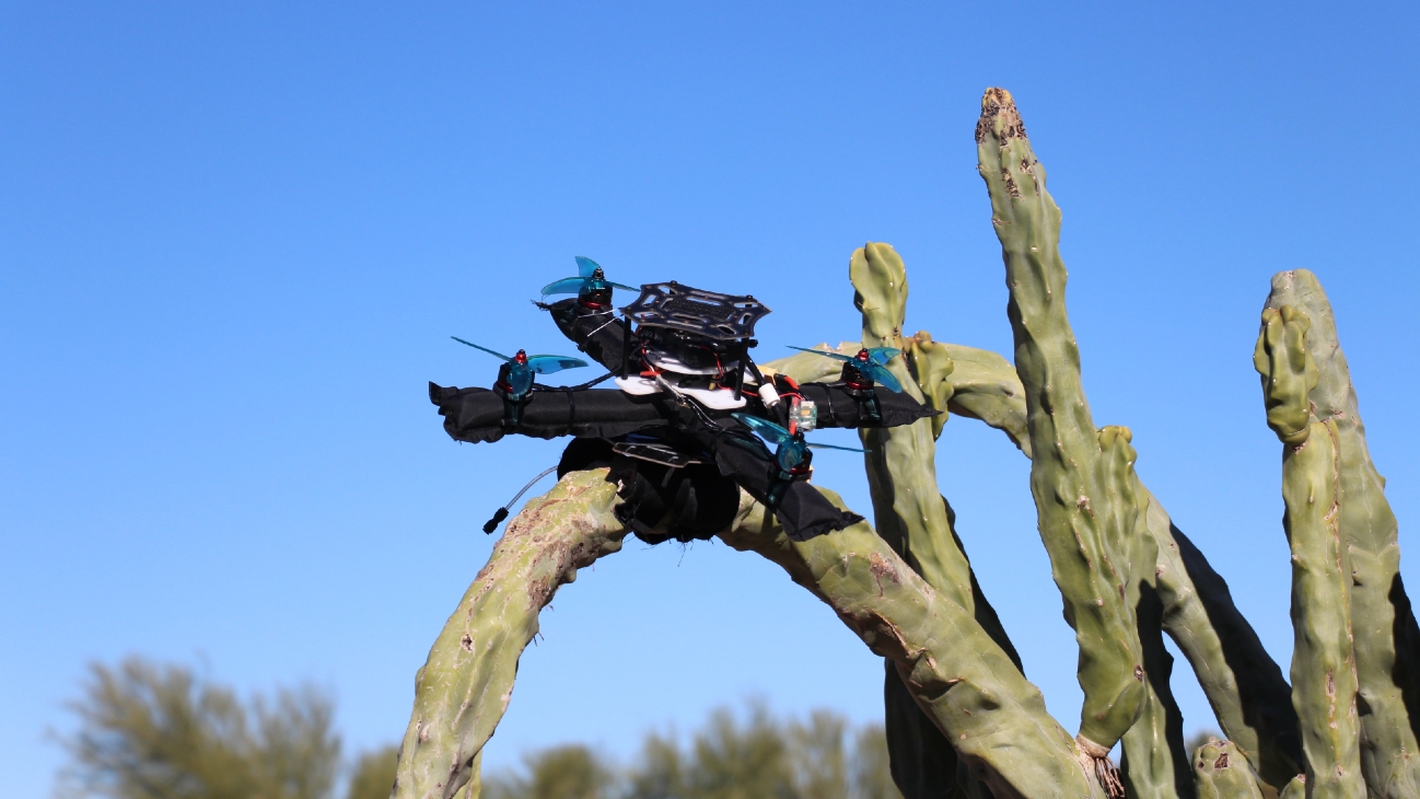 Drone geland op plant