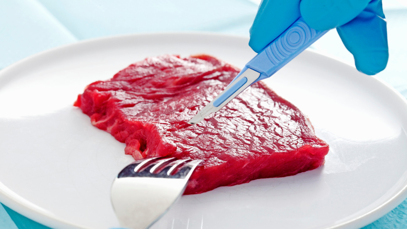 Kweekvlees op een bord wordt gesneden met een scalpel.