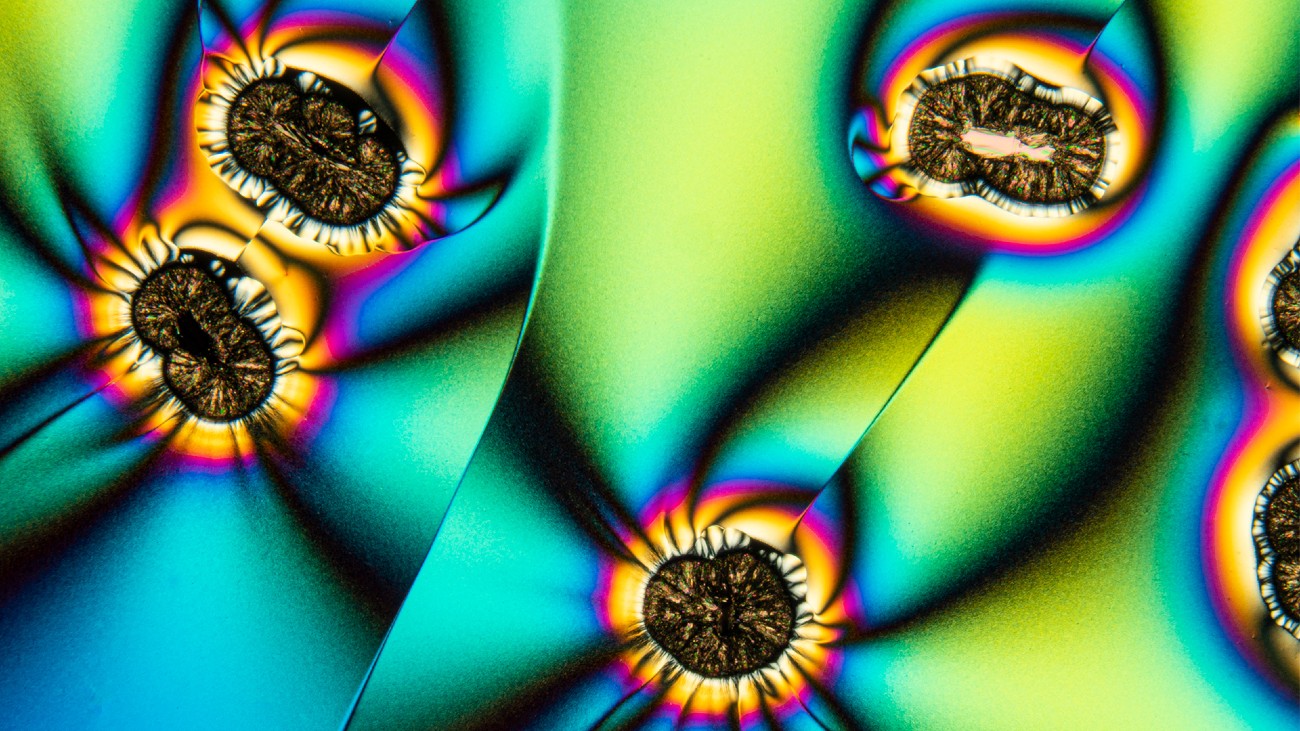 Vitamine C kristallen onder de microscoop