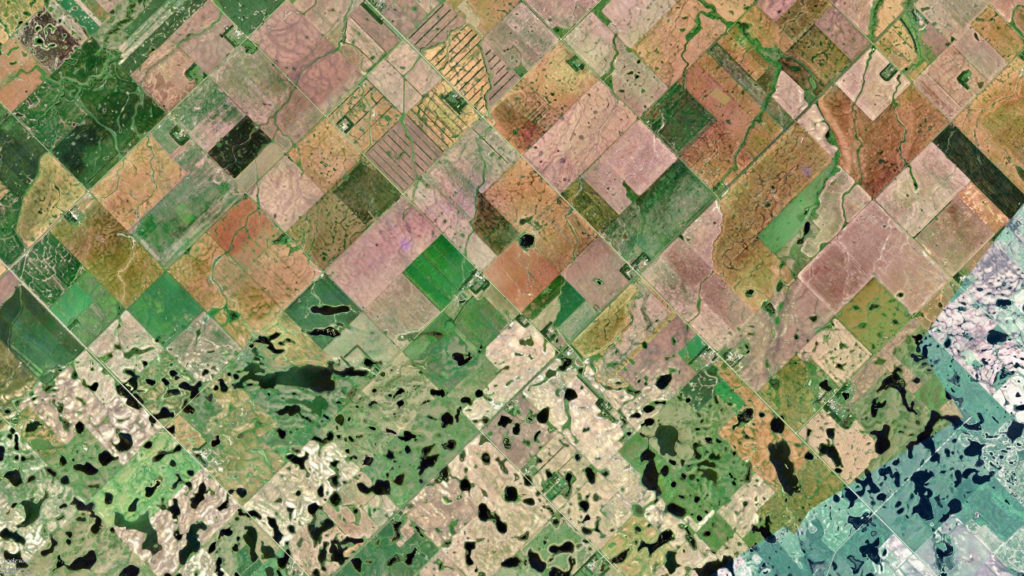 Satellietforo landbouwgrond North Dakota