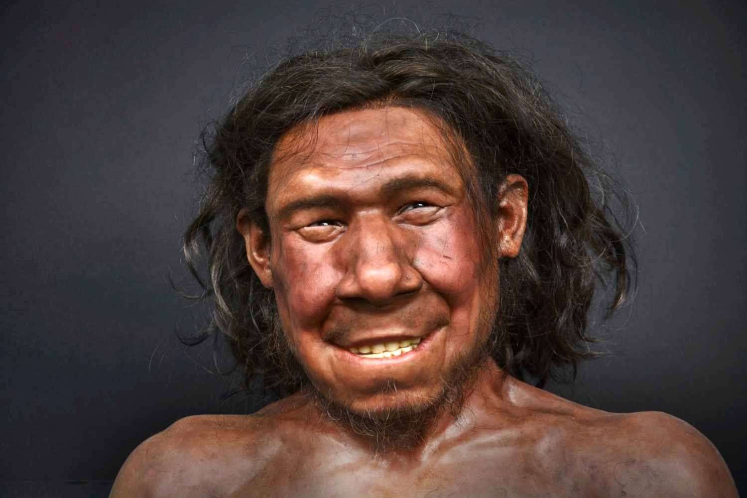 Het gereconstrueerde gezicht van Krijn, de ‘eerste neanderthaler van Nederland’