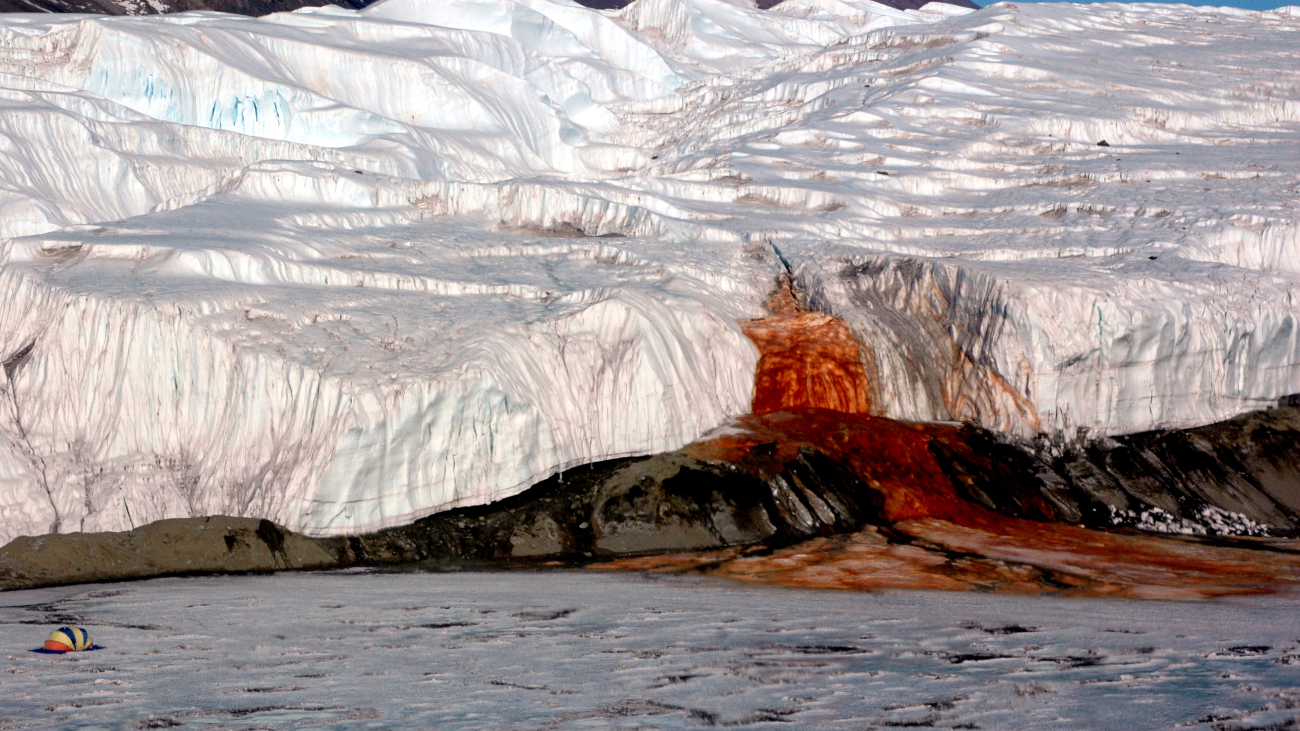 Bloedrode gletsjer