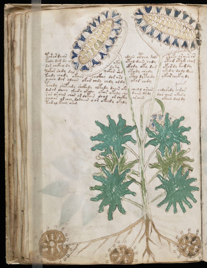 Voynich schrift