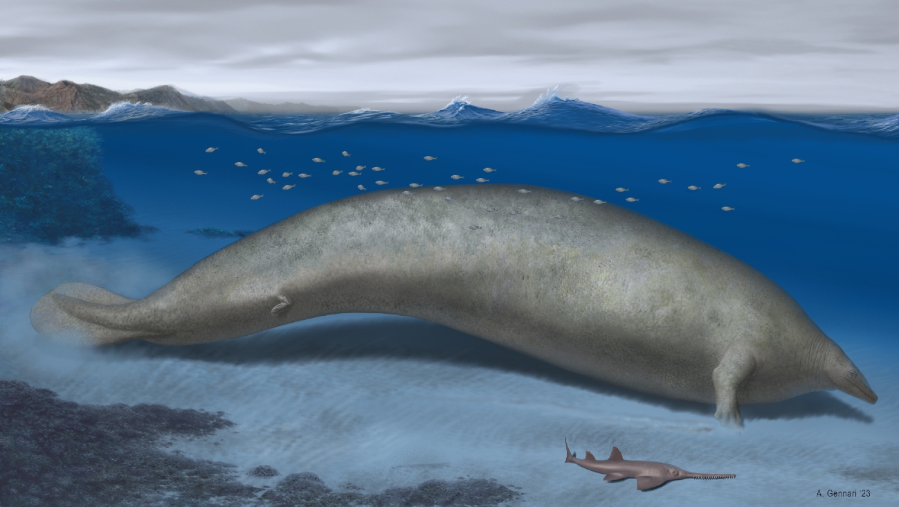 Artistieke impressie van de mega-walvis