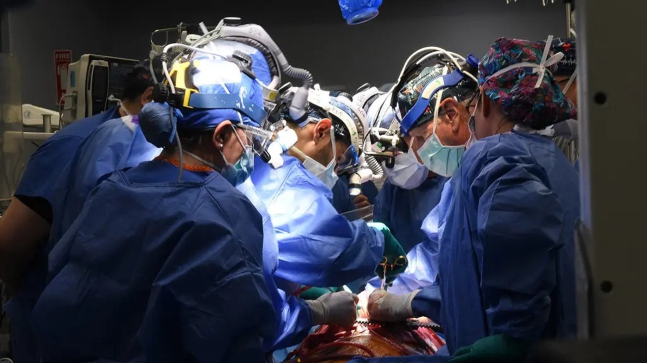 Artsen transplanteren een varkenshart