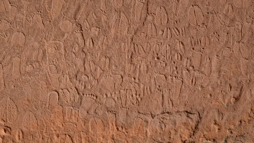 Gli artisti dell’età della pietra hanno inciso più di 500 impronte di zampe nelle rocce