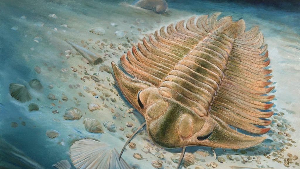 Trilobiet op zeebodem op zoek naar schelpdieren