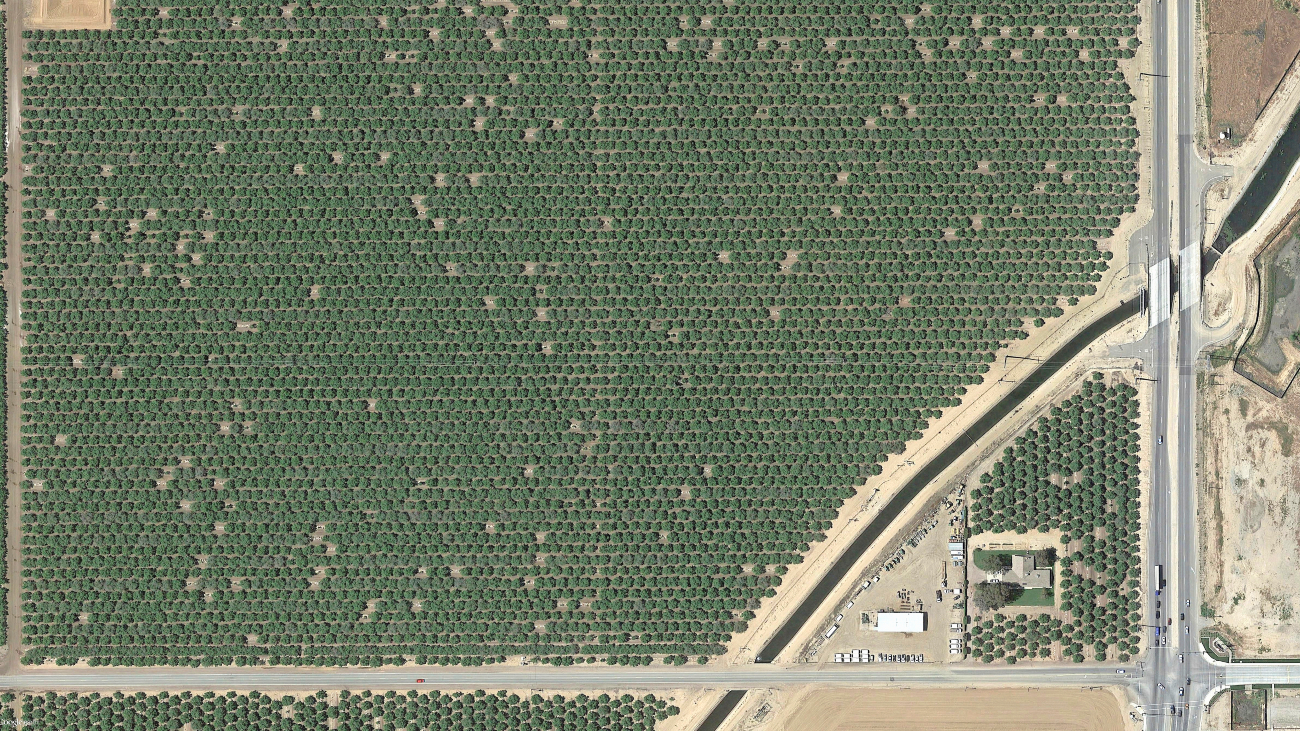 Satellietfoto van fruitbomen in 'woestijnstad' Bakersfield.