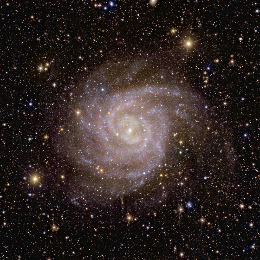 Spiraalvormig sterrenstelsel IC 342 gemaakt door Euclid