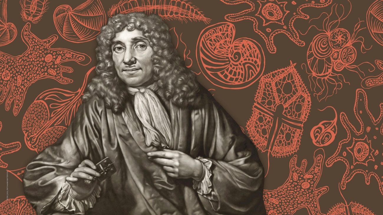 microscoop Antoni van Leeuwenhoek wort geveild