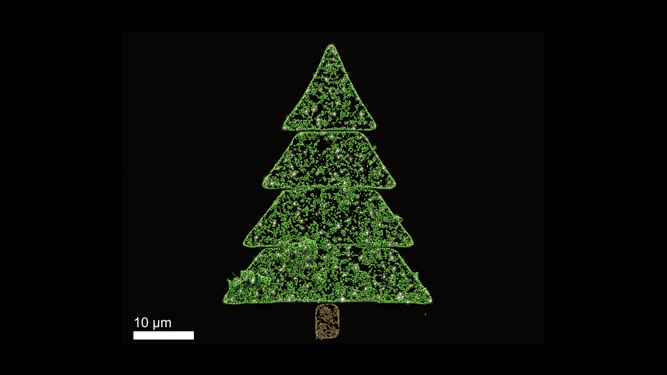 Kerstboom van nanodeeltjes