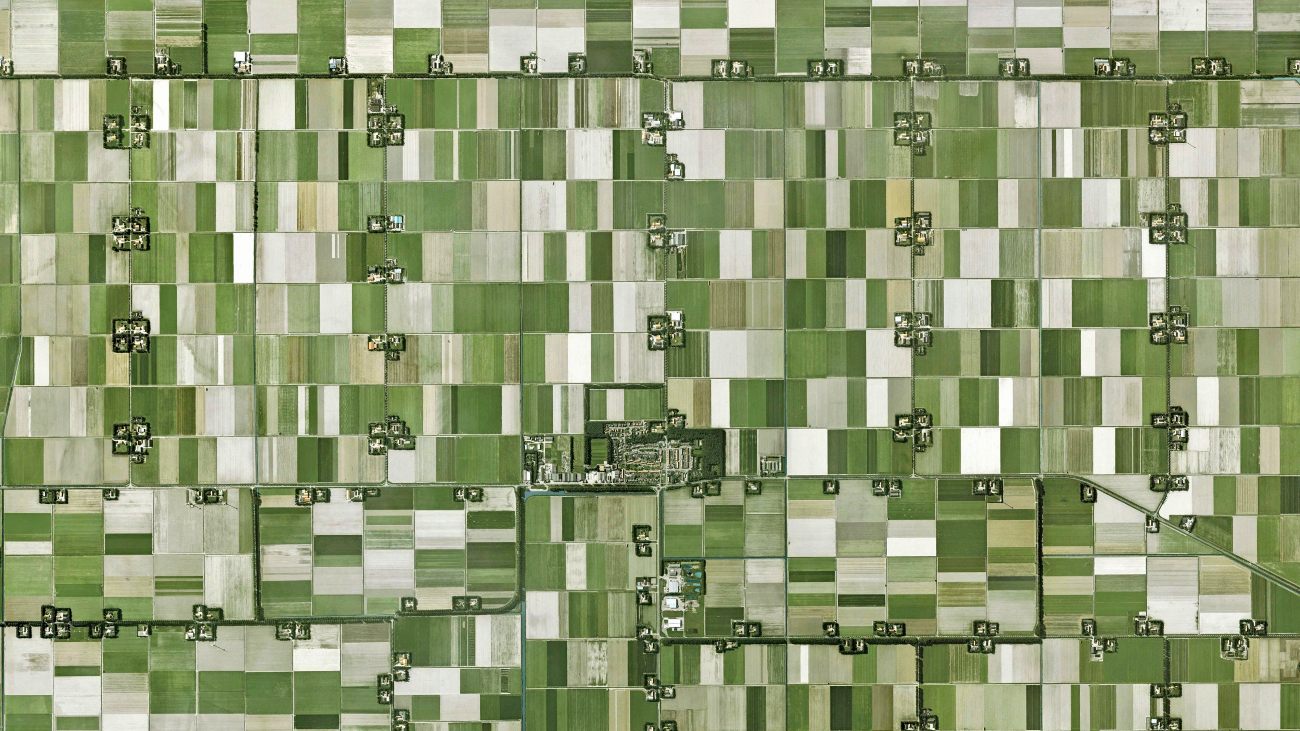 Symmetrisch groen polderlandschap bij Espel