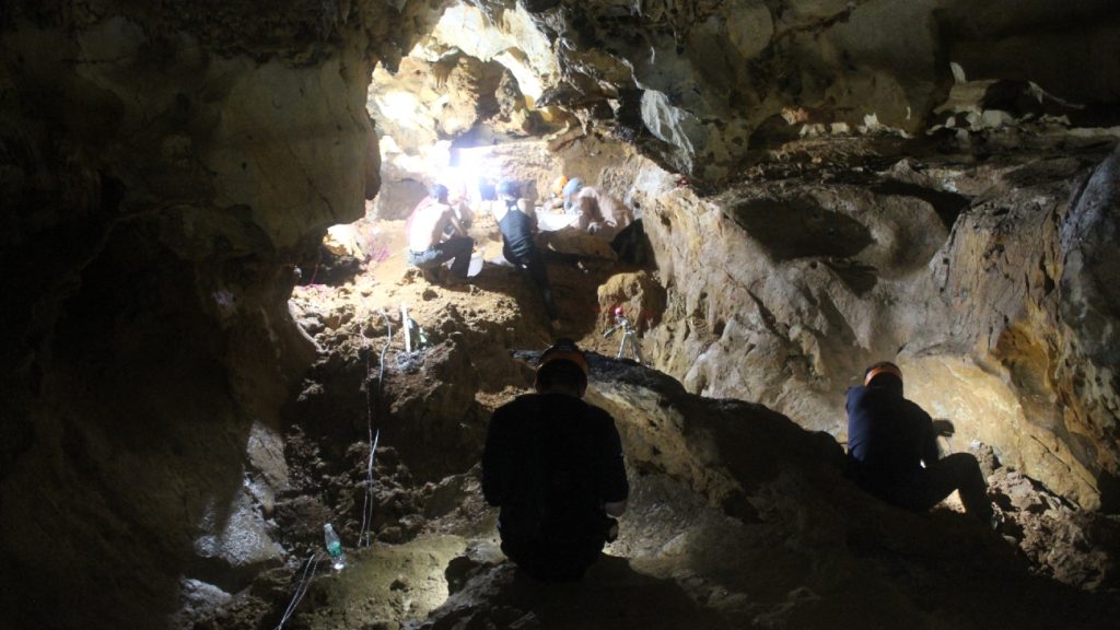 Paleontologen in een grot in Zuid-China graven fossielen van reuzenaap G. blacki op. 