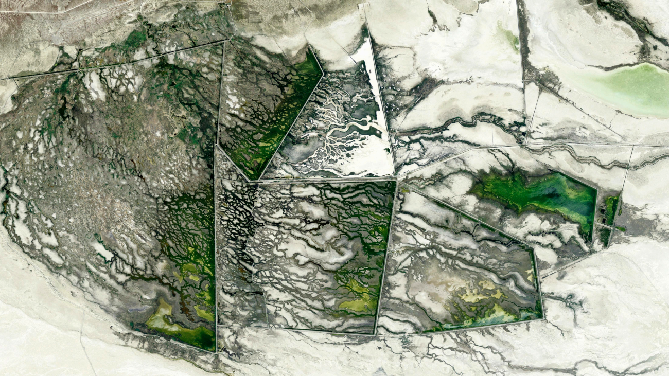 Satellietfoto van Fish Springs