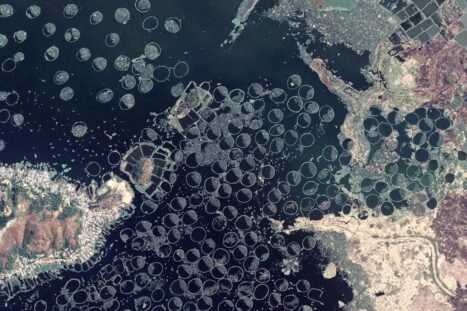 Satellietfoto van phumshongs op het Indiase Loktakmeer