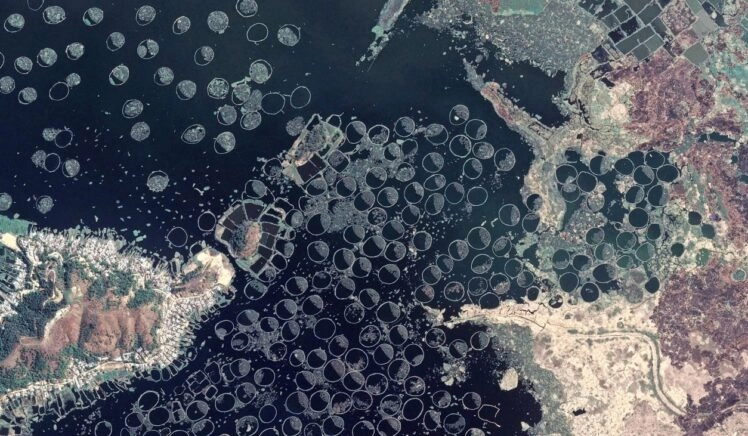 Satellietfoto van phumshongs op het Indiase Loktakmeer