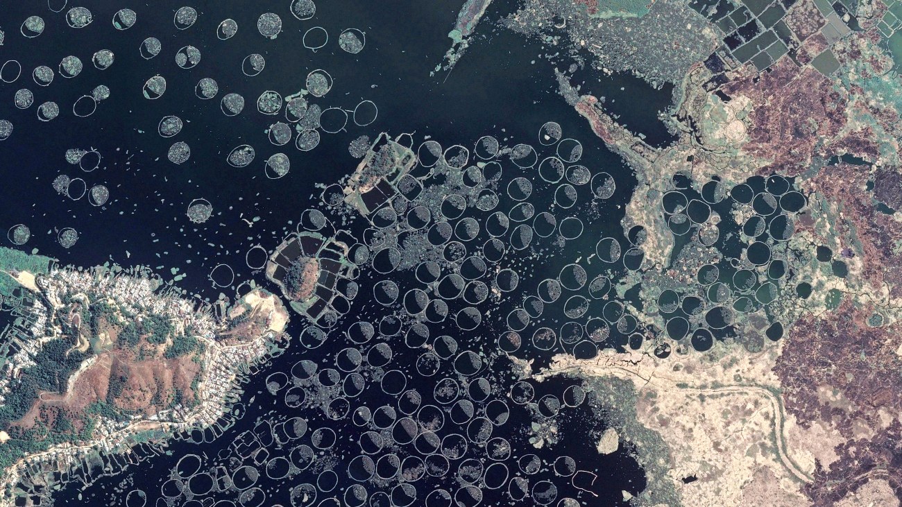 Satellietfoto van phumshongs op het Indiase Loktakmeer