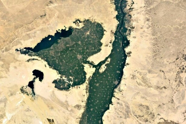 Satellietfoto van de Fajoemoase, ook wel de groentetuin van Caïro