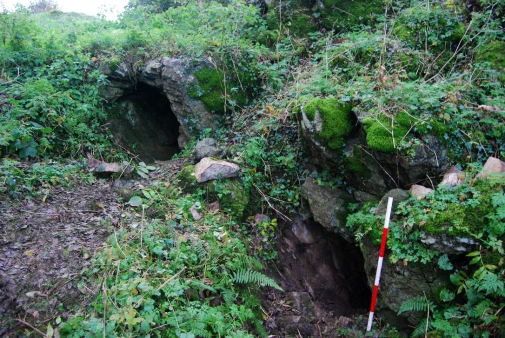 De Ierse grot waar de 4000 jaar oude tanden zijn gevonden. 