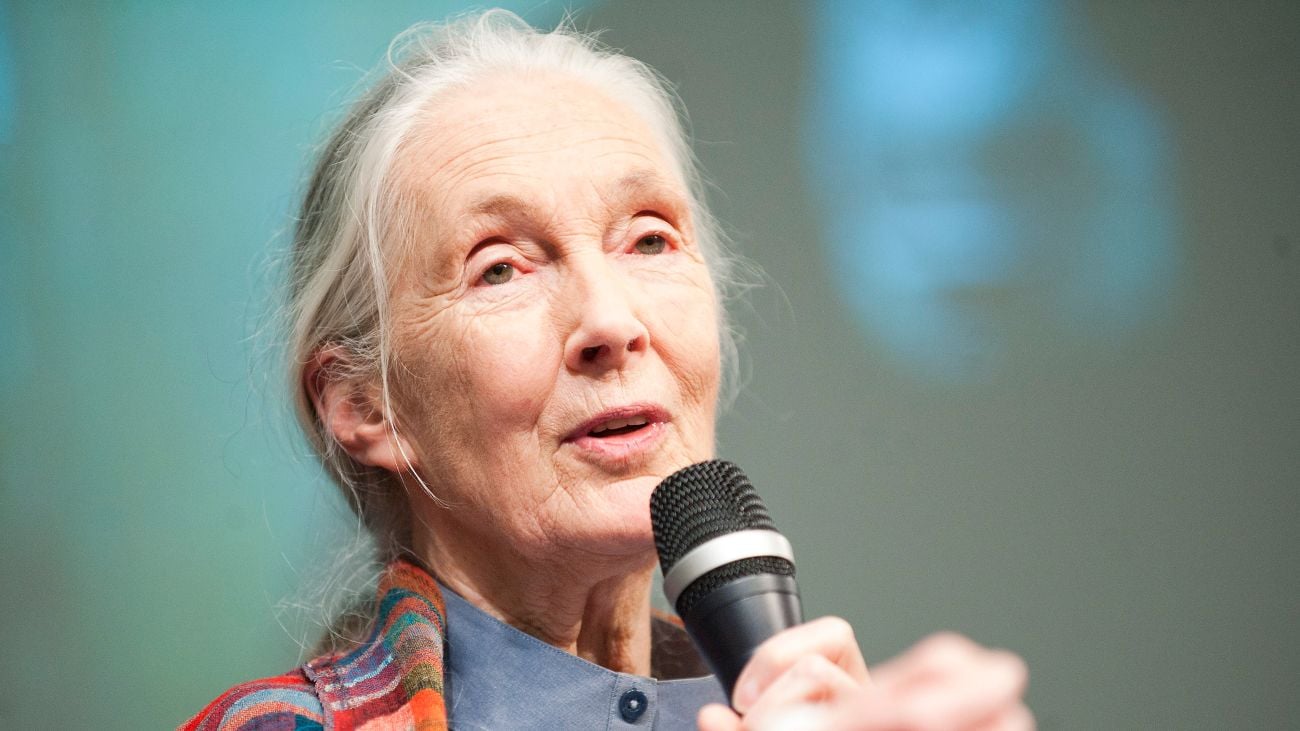 Jane Goodall met microfoon