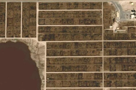 vetmesterij feedlots