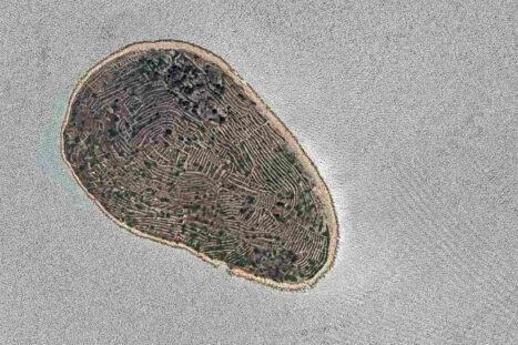 vingerafdruk Baljenac