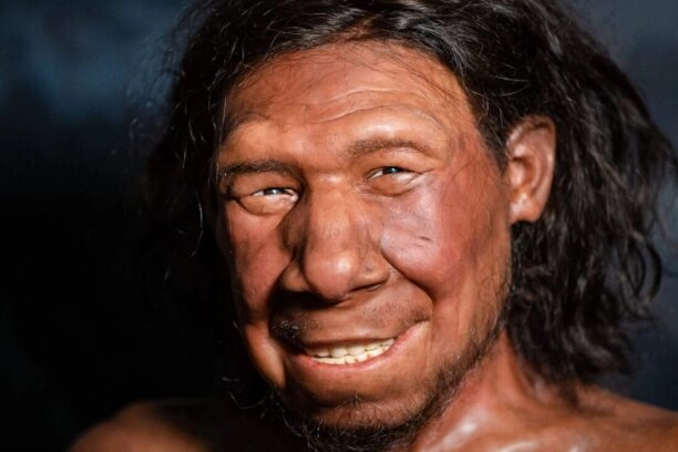 Reconstructie van de eerste neanderthaler van Nederland: Krijn.